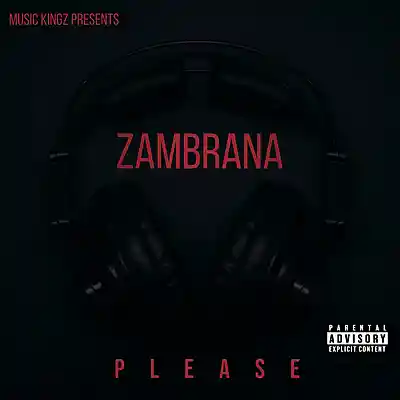 Picture for song 'Please' by artist 'ZAMBRANA'