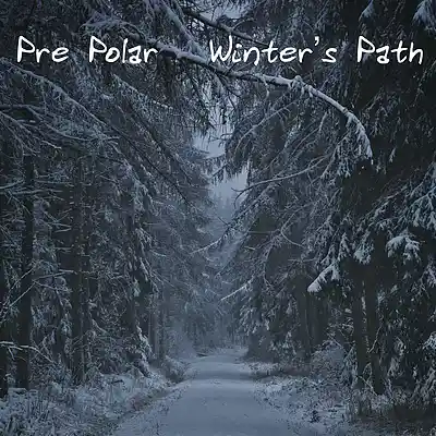 Picture for song 'Undertaker' by artist 'Pre Polar'