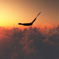 Picture for song 'Fly' by artist 'Al1ster Chest'