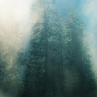 Picture for song 'Sunny Showers (Prod by Axis Beats) 110 bpm' by artist 'Axis Beats (US)'