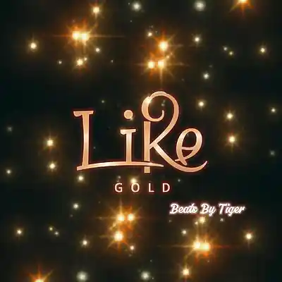 Picture for song 'Like Gold' by artist 'Beats By Tiger'