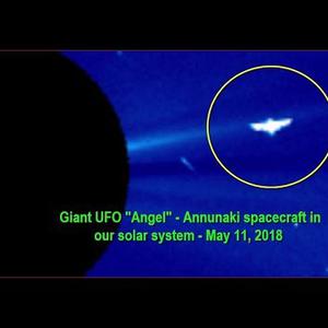 Picture for song 'Cosmos x Benny Maxey' by artist 'Benny Maxey'