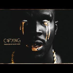 Picture for song 'Crying' by artist 'Black Hawk'