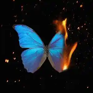 Picture for song 'Memories / J Cole Type Beat (2 For 1)' by artist 'Buckroll'