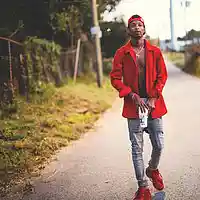 Song picture