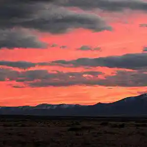 Picture for song 'Pesos [ 130 BPM ]' by artist 'Chipz On The Beat'