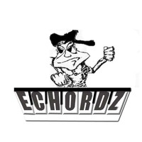 Picture for song 'Vexed' by artist 'Echordz'