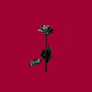 Picture for song 'Roses' by artist 'Feelz Beatz'