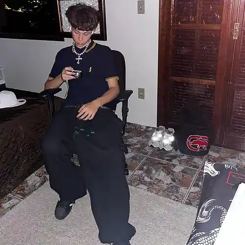 Artist picture