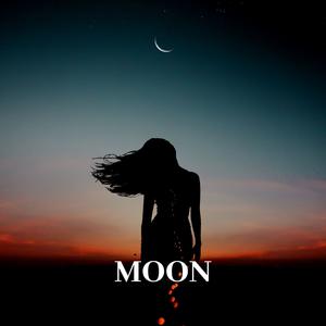 Picture for song 'Moon' by artist 'Kamil Jedralski'