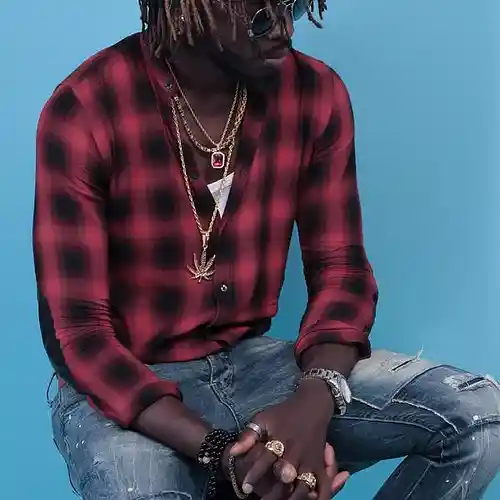 Artist picture