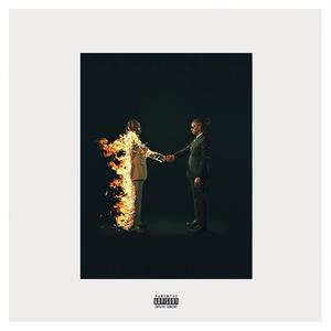 Picture for song 'Metro Boomin, Travis Scott - Raindrops' by artist 'Masked Rapper'