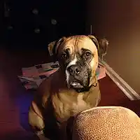 Picture for song 'Heavy Drinking 2' by artist 'Mike Hand'