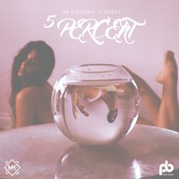 Picture for song '5 Percent ' by artist 'Mr.Kooman'