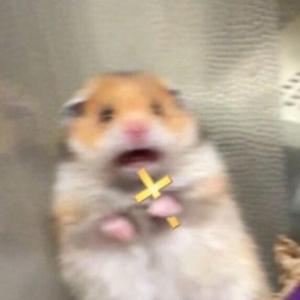 Picture for song 'DRILLOWNIA - Pop Smoke x Orchestral UK/NY Drill' by artist 'nolyrics music group'