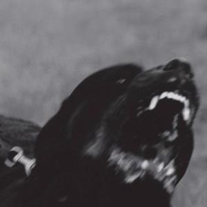 Picture for song 'Baby keem Type Beat 2020 - Darkest Hour Prod. By P' by artist 'Pyroxix'