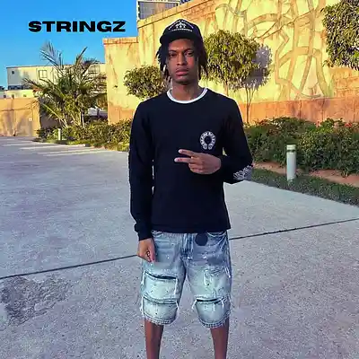 Picture for song 'Nemzzz x Hoodtrap Type Beat 2025 "Stringz"' by artist 'rrome42'