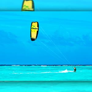 Picture for song 'Galapagos (BUY 1 GET 2 FREE)' by artist 'SOB Production'