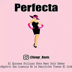 Picture for song 'Perfecta' by artist 'Songr Beats'