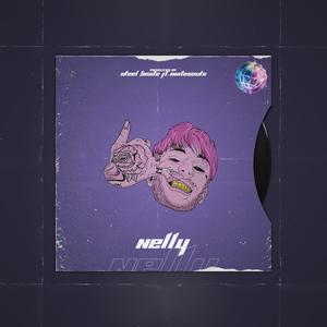 Picture for song 'NELLY 151 bpm' by artist 'Beats on SteelBeatz.com'