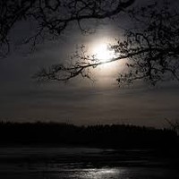 Picture for song 'How High the Moon' by artist 'Vandi'