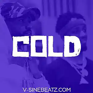 Picture for song 'Cold (Buy 1 Get 1-3 FREE)' by artist 'V-Sine Beatz'
