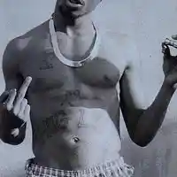 Picture for song 'tupac' by artist 'wormjam'