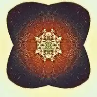 Picture for song 'Slow Motion Panorama' by artist 'Dead Era'