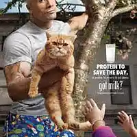 Picture for song 'Got Tag!' by artist 'G.Bread'