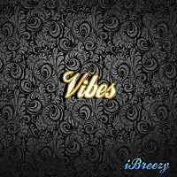 Picture for song 'Vibes (130 Bpm)' by artist 'iBreezyBeats'