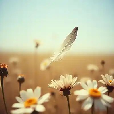 Picture for song 'People are not important' by artist 'love music play'