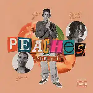 Picture for song 'Peaches (Buy 2 Get 1 Free)' by artist 'PLATINUM SELLERS BEATS'