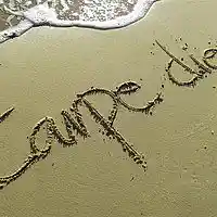 Picture for song 'carpe diem symphony' by artist 'Stockwrock'