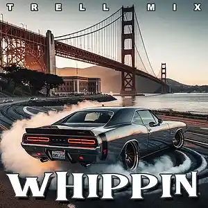 Picture for song 'WHIPPIN' by artist 'TRELL MIX 209'