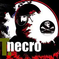 Picture for song 'Huron First' by artist 'Turtle Necromancer'