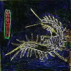 Picture for song 'A Series Of Mouths Biting Tails' by artist '4 Centipedes And One MC'