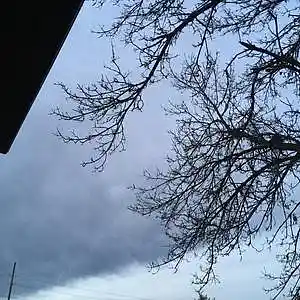 Picture for song 'Requiem-of-the Winter-Queen' by artist 'AuDioChosis - Steven F. Allen - AuDio MiRage'