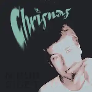 Picture for song 'Chrisnas feat. Bernstein - Paramilitante Poesie' by artist 'Chrisnas'
