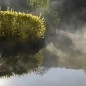 Picture for song 'Sonate 2 en ré majeur (Mvt 2)' by artist 'Christian Faivre'