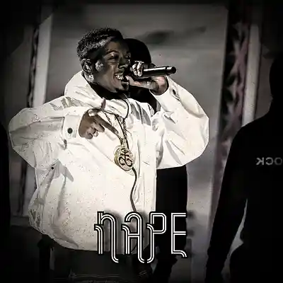 Picture for song '*Nape* - 90s Boom Bap Soul (Buy 2 Get 1 Free)' by artist 'Elbr'