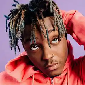 Picture for song 'BANDS ON YOU (Juice WRLD Type Beat)' by artist 'In Bloom'