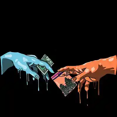Picture for song 'Submission Accomplice' by artist 'Johanna Renfro'