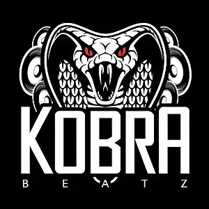 Picture for song 'Pressure (Free DL)' by artist 'Kobra Beatz'