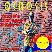 Picture for song 'Crushing Your Brains Underfoot -Single Version' by artist 'Lawrence Wise And The Cosmic Funk Orchestra OSMOS'