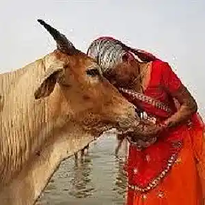 Picture for song 'India' by artist 'mark alan skinner'