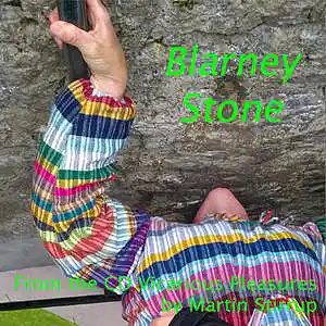 Picture for song 'VP 05 Blarney Stone' by artist 'martin stirrup'