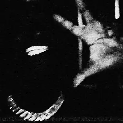 Picture for song 'ripped' by artist 'n3wchld'