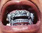 Picture for song 'ice in my teeth' by artist 'platinum toxx'