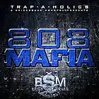Picture for song 'Bricks In - 2013 BEATS (YO GOTTI, GUCCI MANE)' by artist 'ProducedByTSavage'