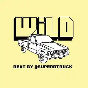Picture for song 'WILD' by artist 'Superb Truck'
